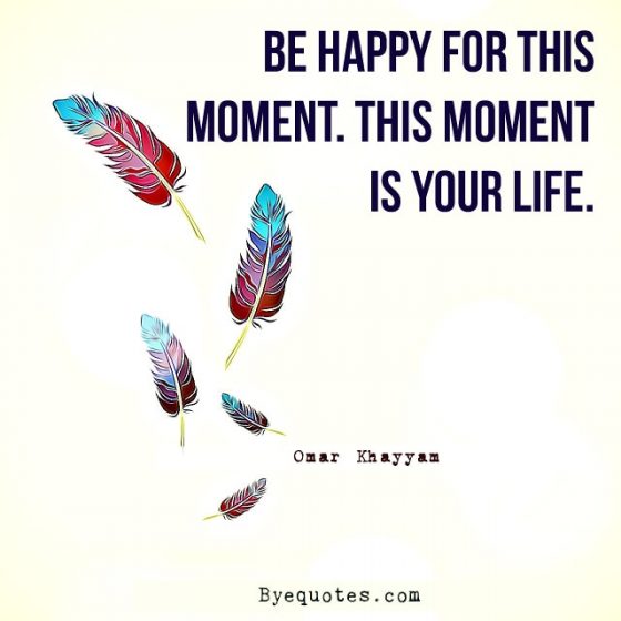 Quote from Byequotes.com - "Be happy for this moment. This moment is your life". - Omar Khayyam