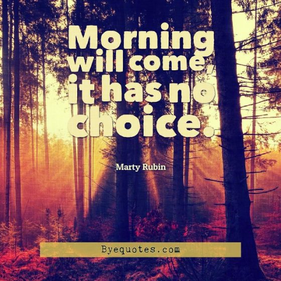 Quote from Byequotes.com - "Morning will come, it has no choice". - Marty Rubin