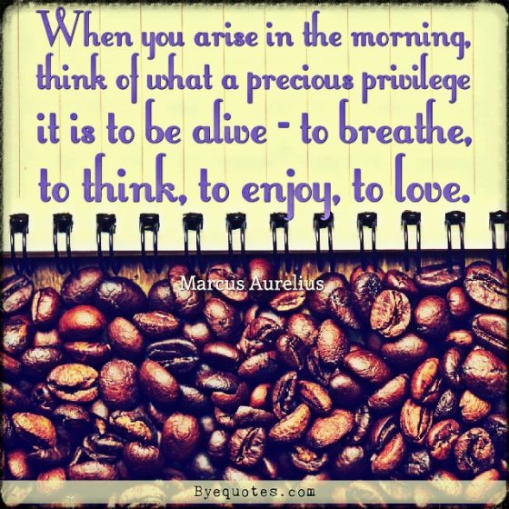 Quote from Byequotes.com - "When you arise in the morning, think of what a precious privilege it is to be alive - to breathe, to think, to enjoy, to love". - Marcus Aurelius